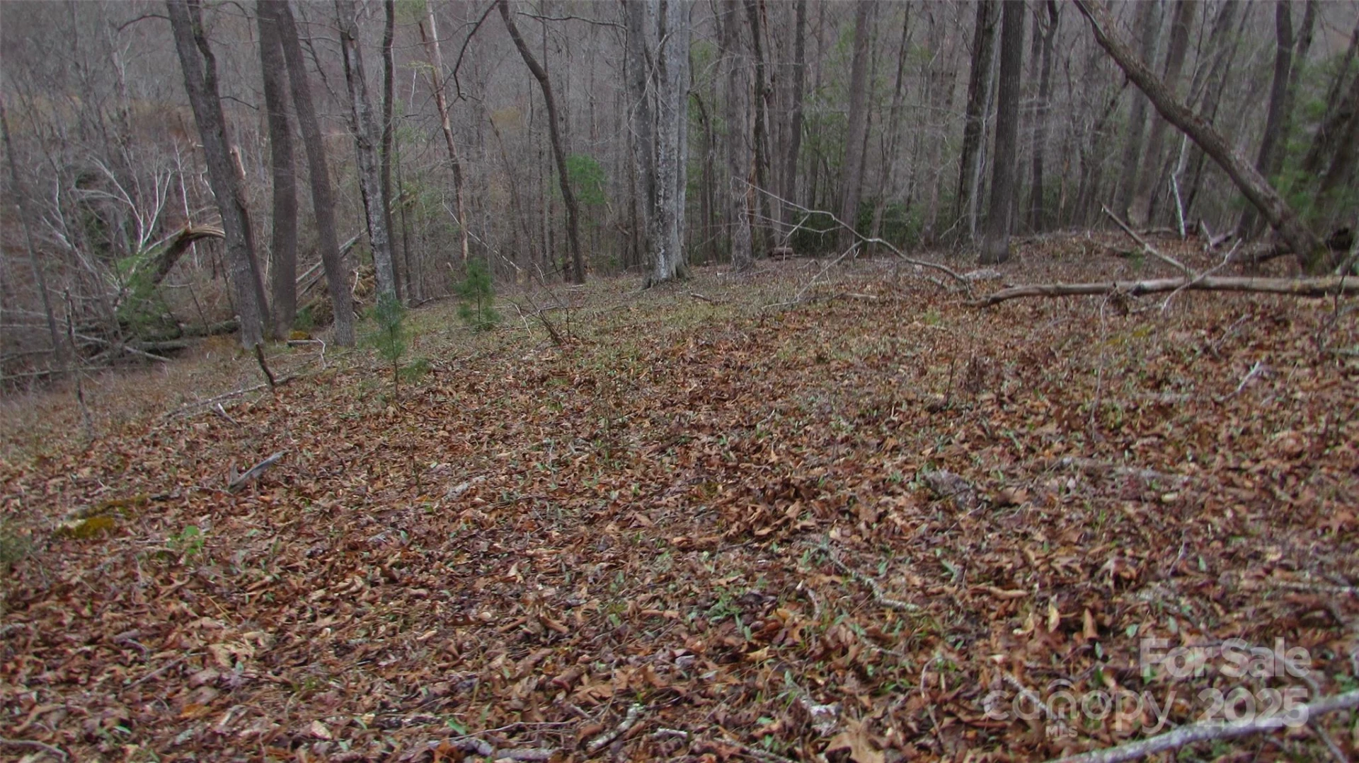 #74 Falling Water Drive - Photo 13