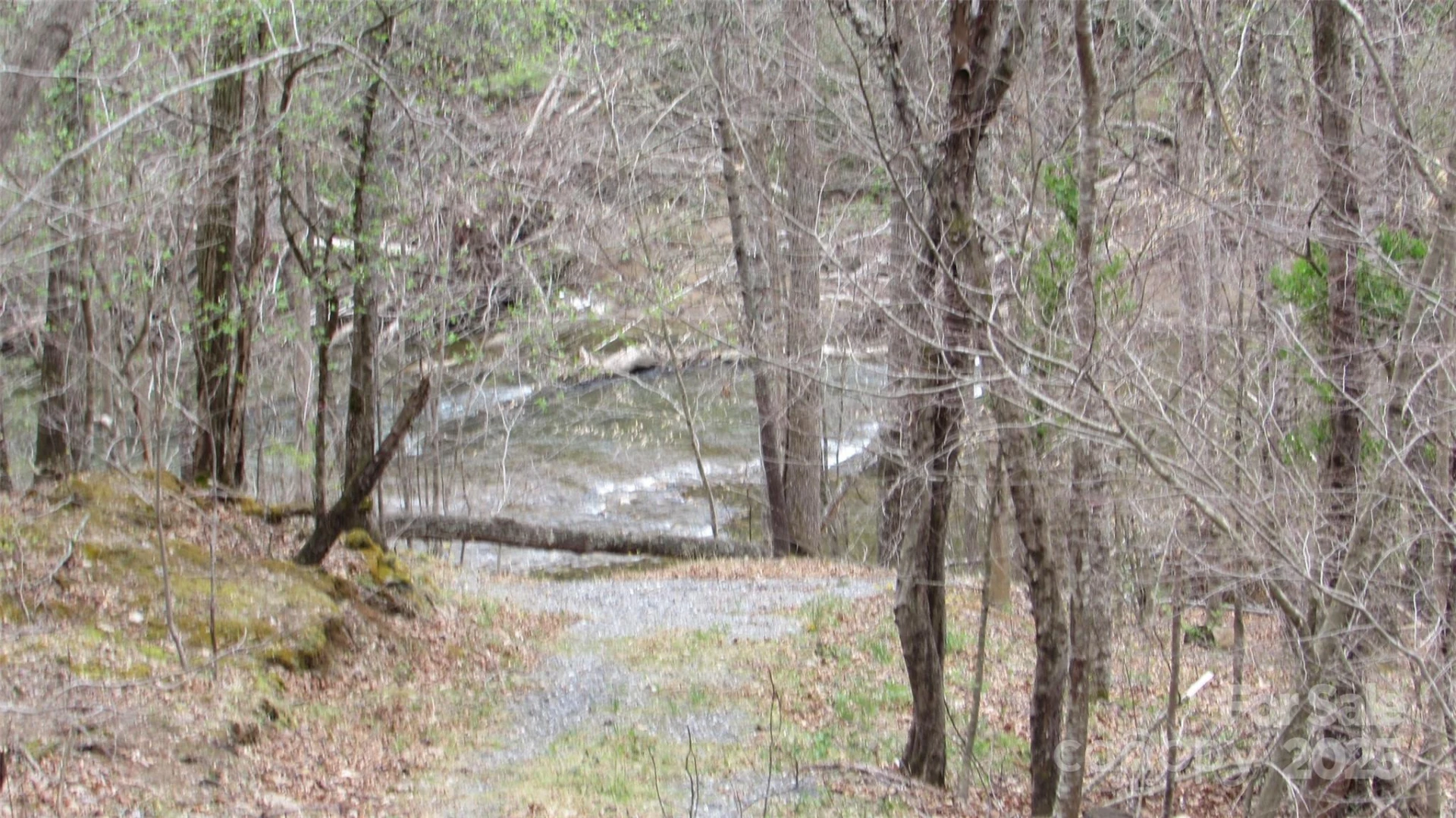 #74 Falling Water Drive - Photo 17