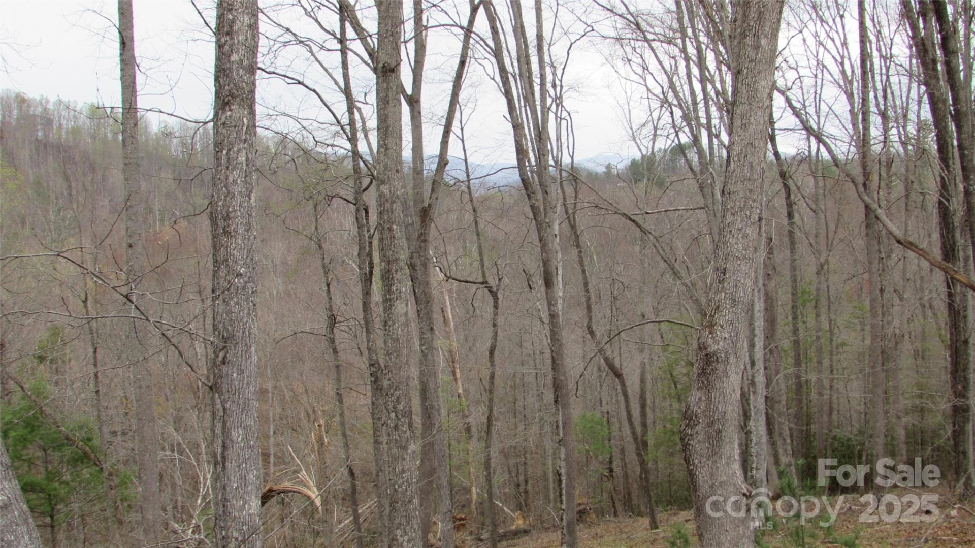 #74 Falling Water Drive - Photo 3