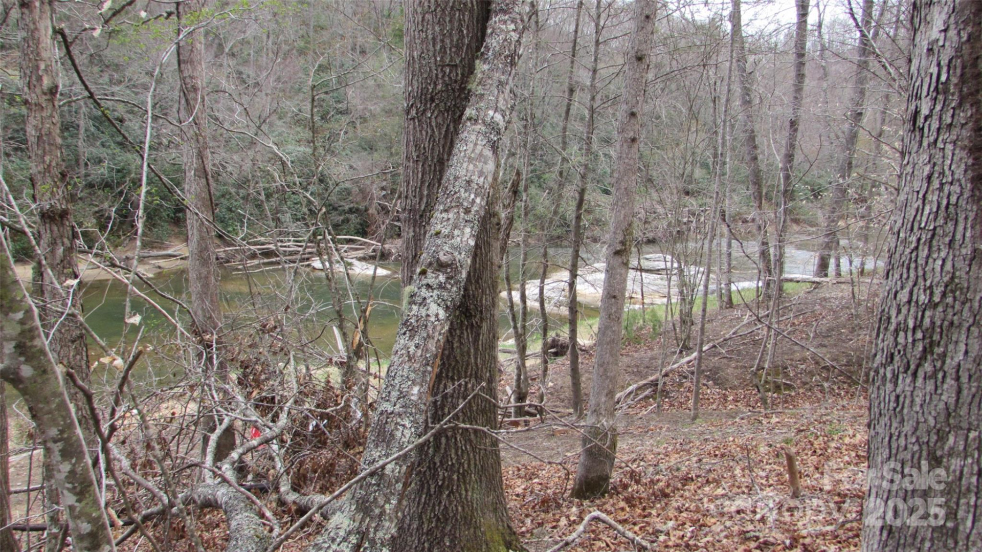 #74 Falling Water Drive - Photo 21