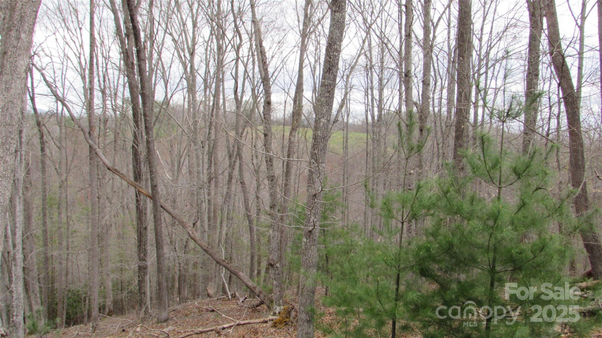 #74 Falling Water Drive - Photo 4