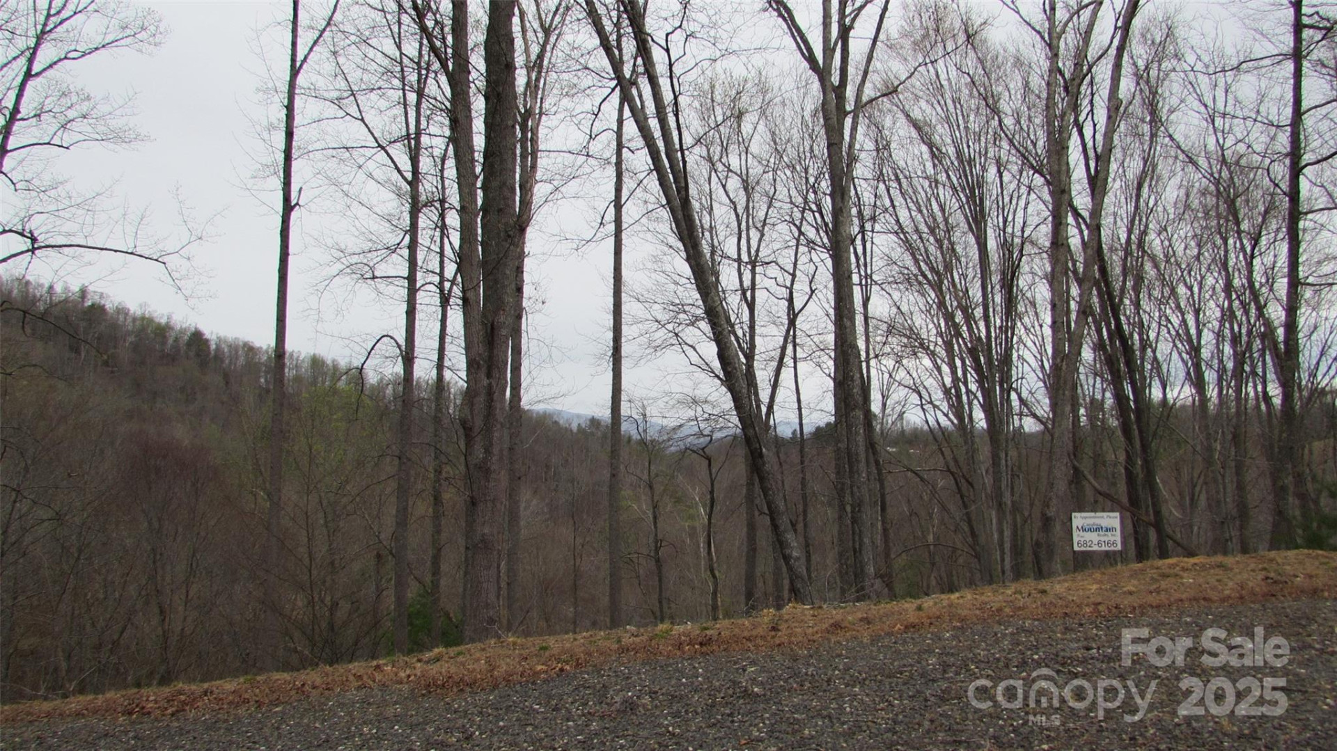 #74 Falling Water Drive - Photo 5