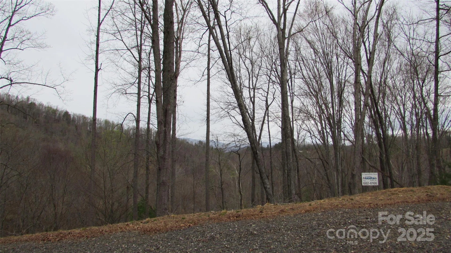 #74 Falling Water Drive - Photo 5