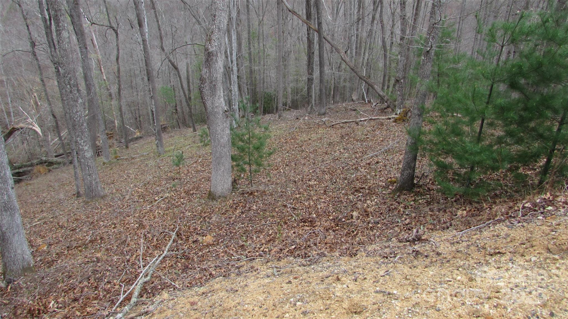 #74 Falling Water Drive - Photo 6