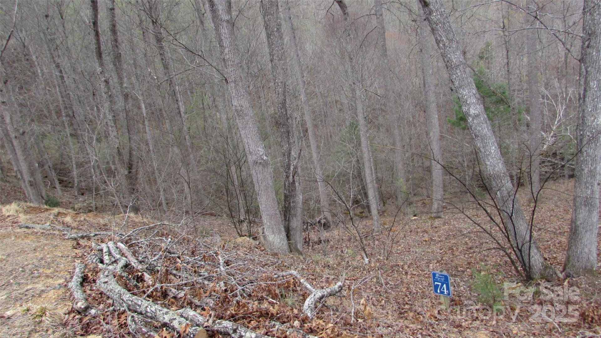 #74 Falling Water Drive - Photo 7