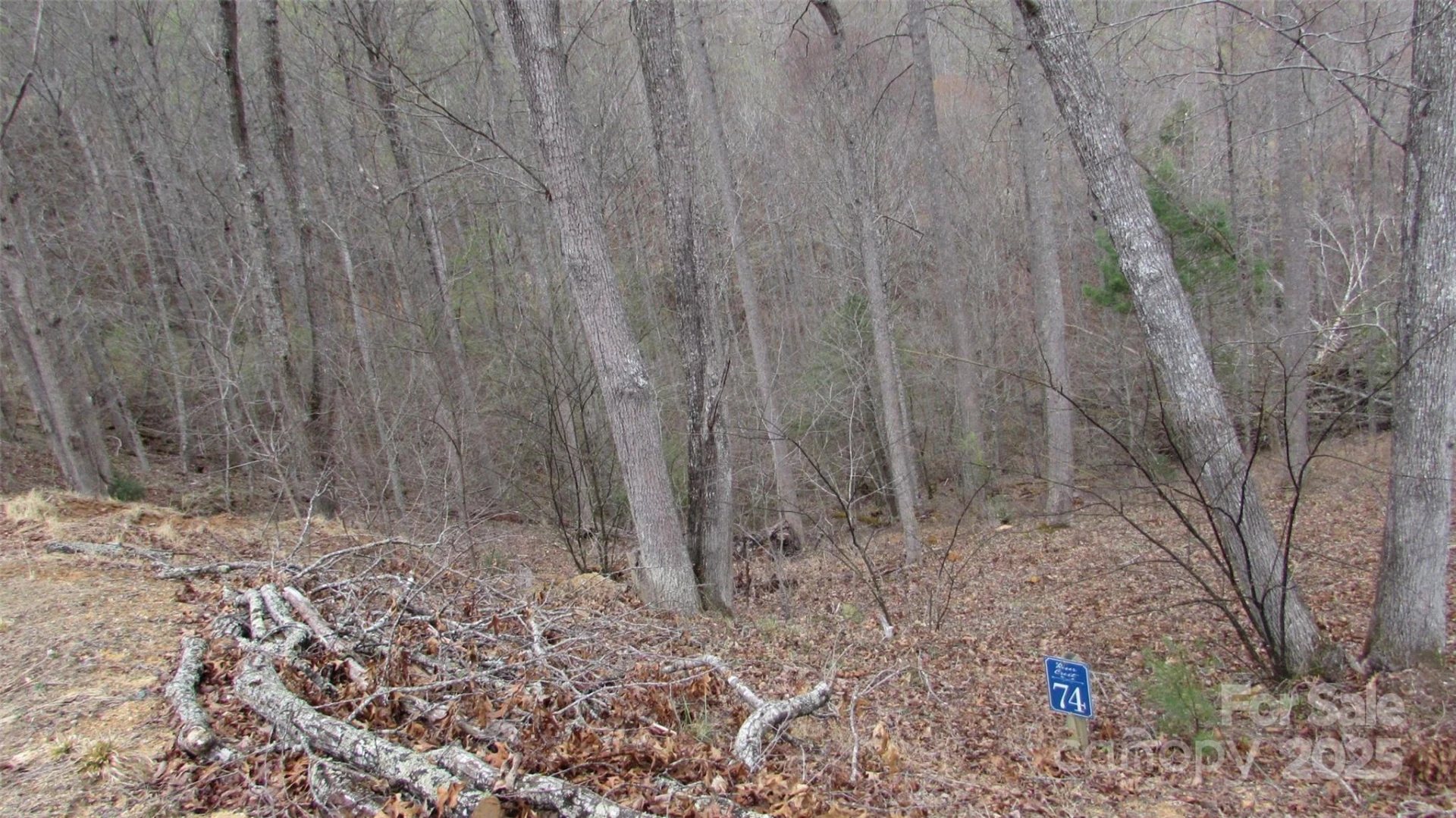 #74 Falling Water Drive - Photo 7