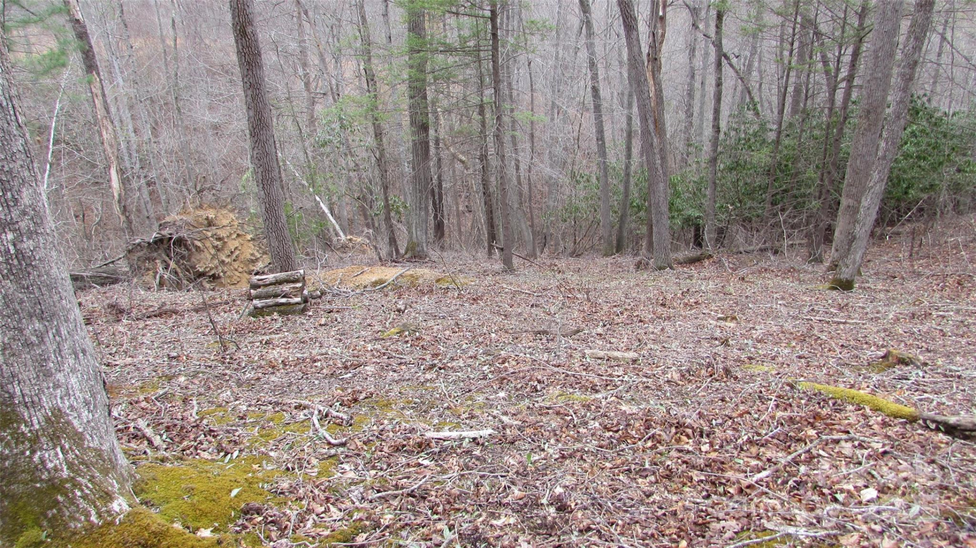 #74 Falling Water Drive - Photo 8