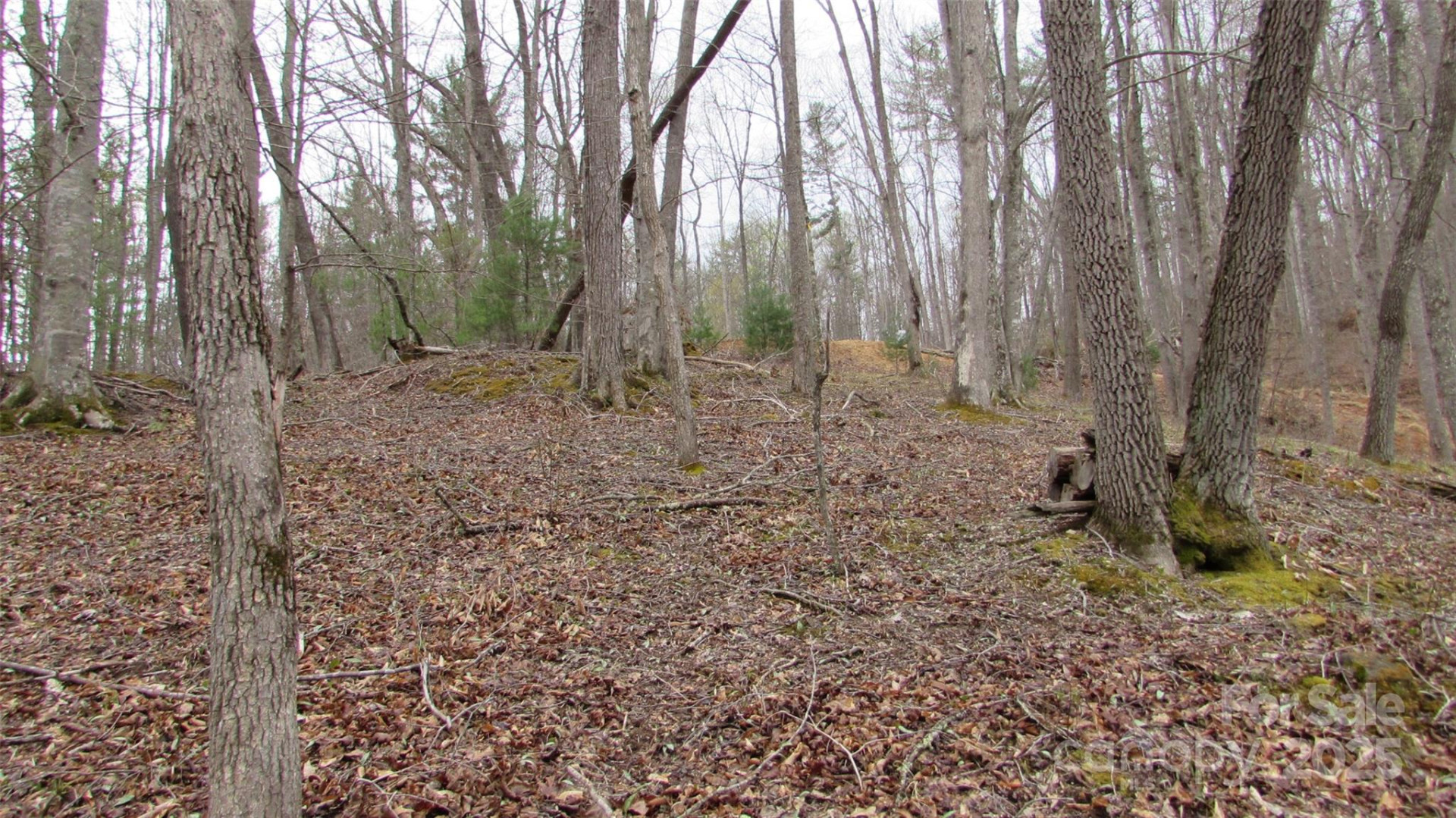 #74 Falling Water Drive - Photo 9