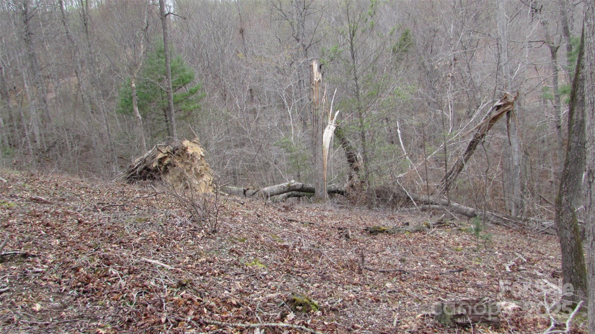 #74 Falling Water Drive - Photo 10