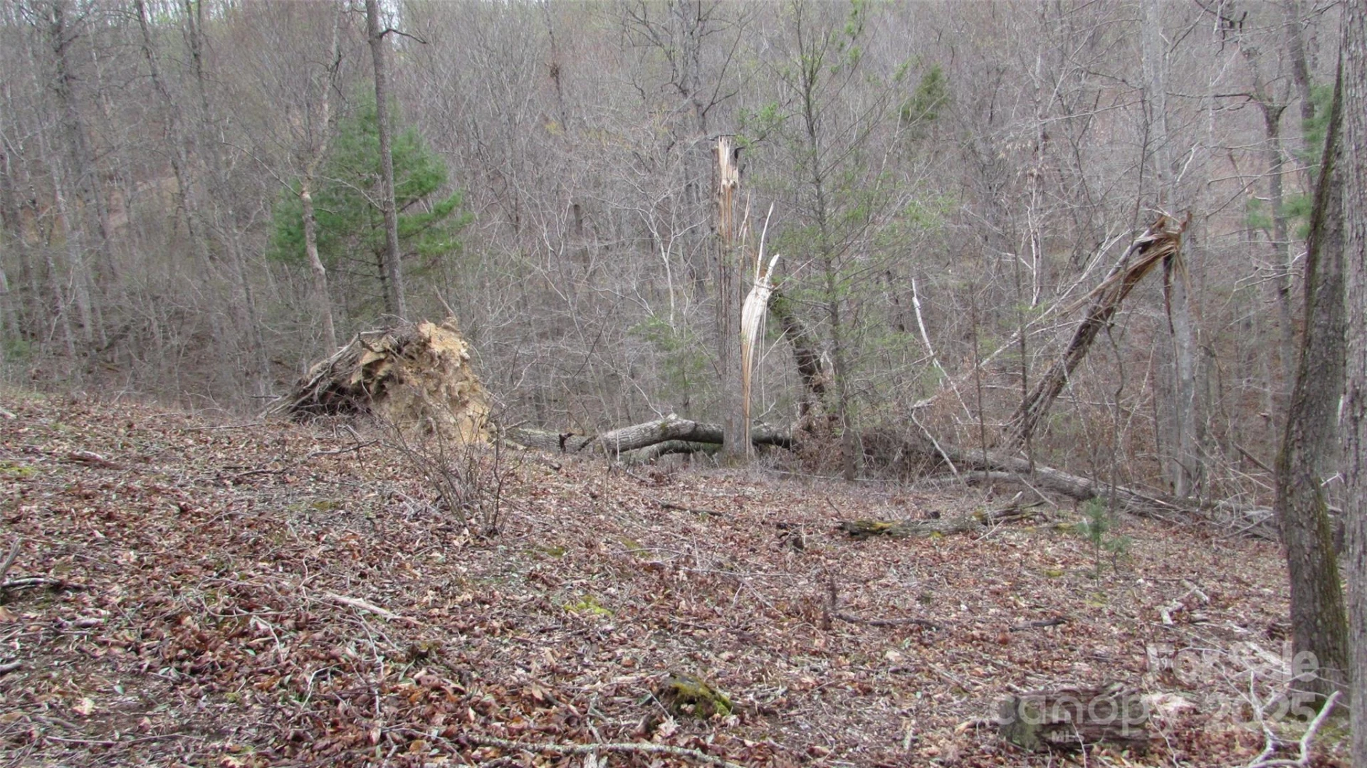 #74 Falling Water Drive - Photo 10