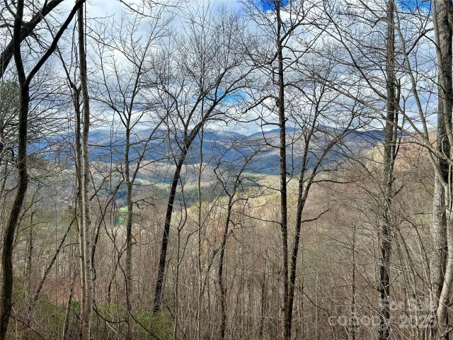 0 Maltese Way, Whittier, NC, 28789