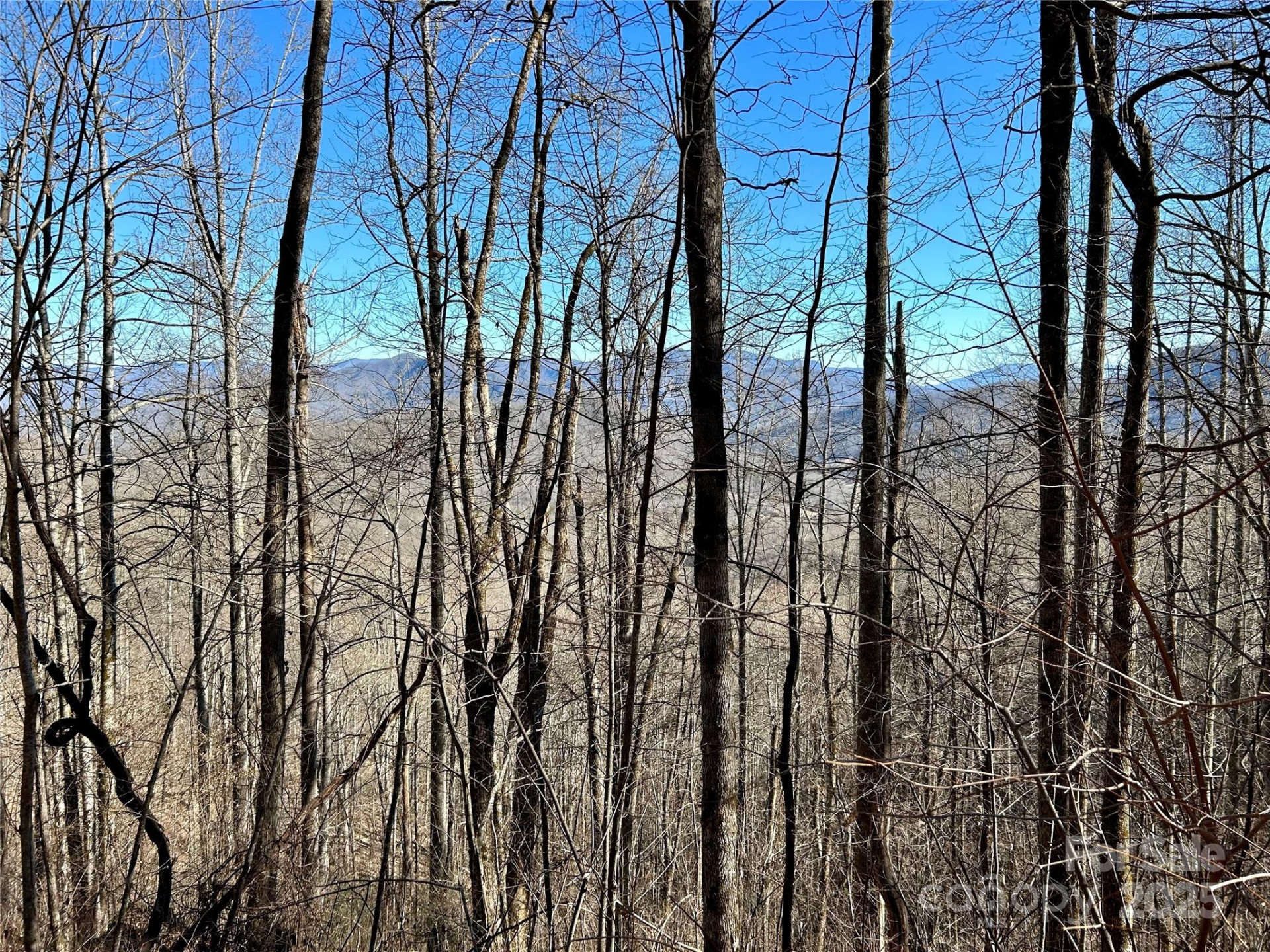 0 Maltese Way #25 - Photo 2