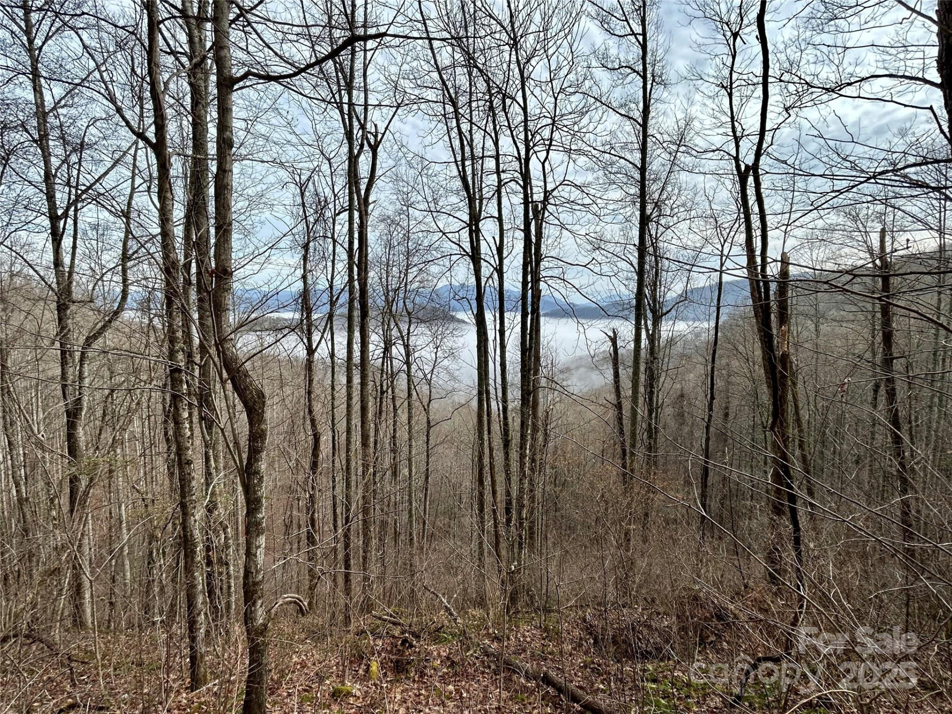 0 Maltese Way #25 - Photo 3