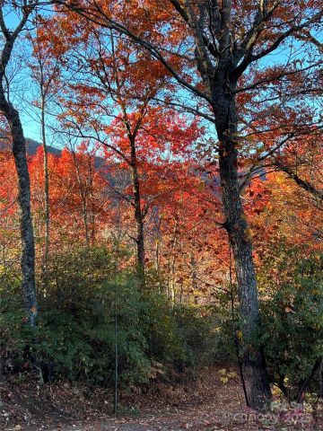 69 & 81 Winter Moon Ridge