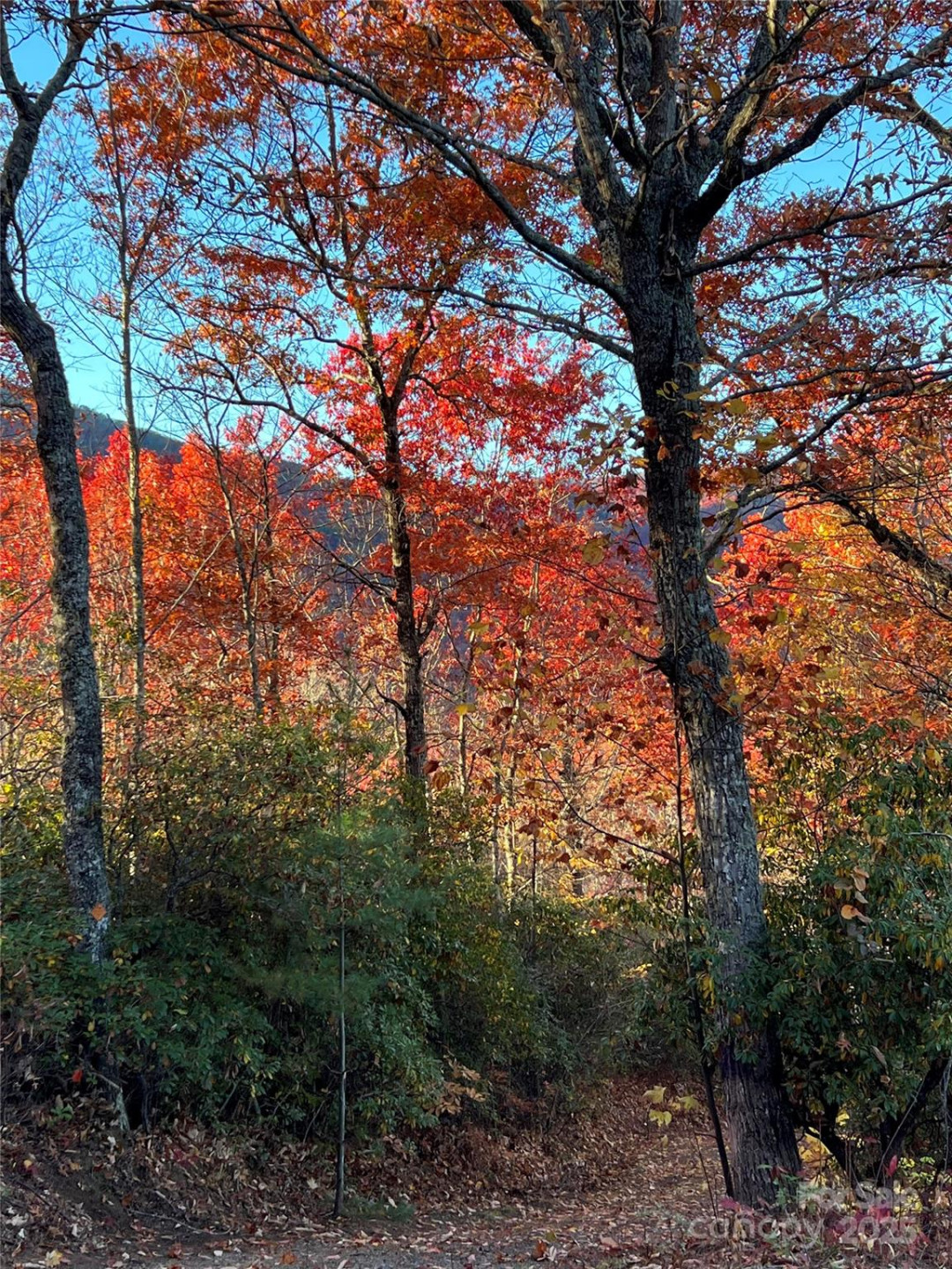 69 & 81 Winter Moon Ridge