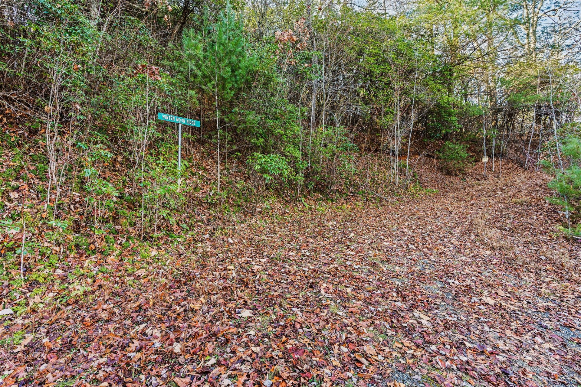 69 & 81 Winter Moon Ridge - Photo 2