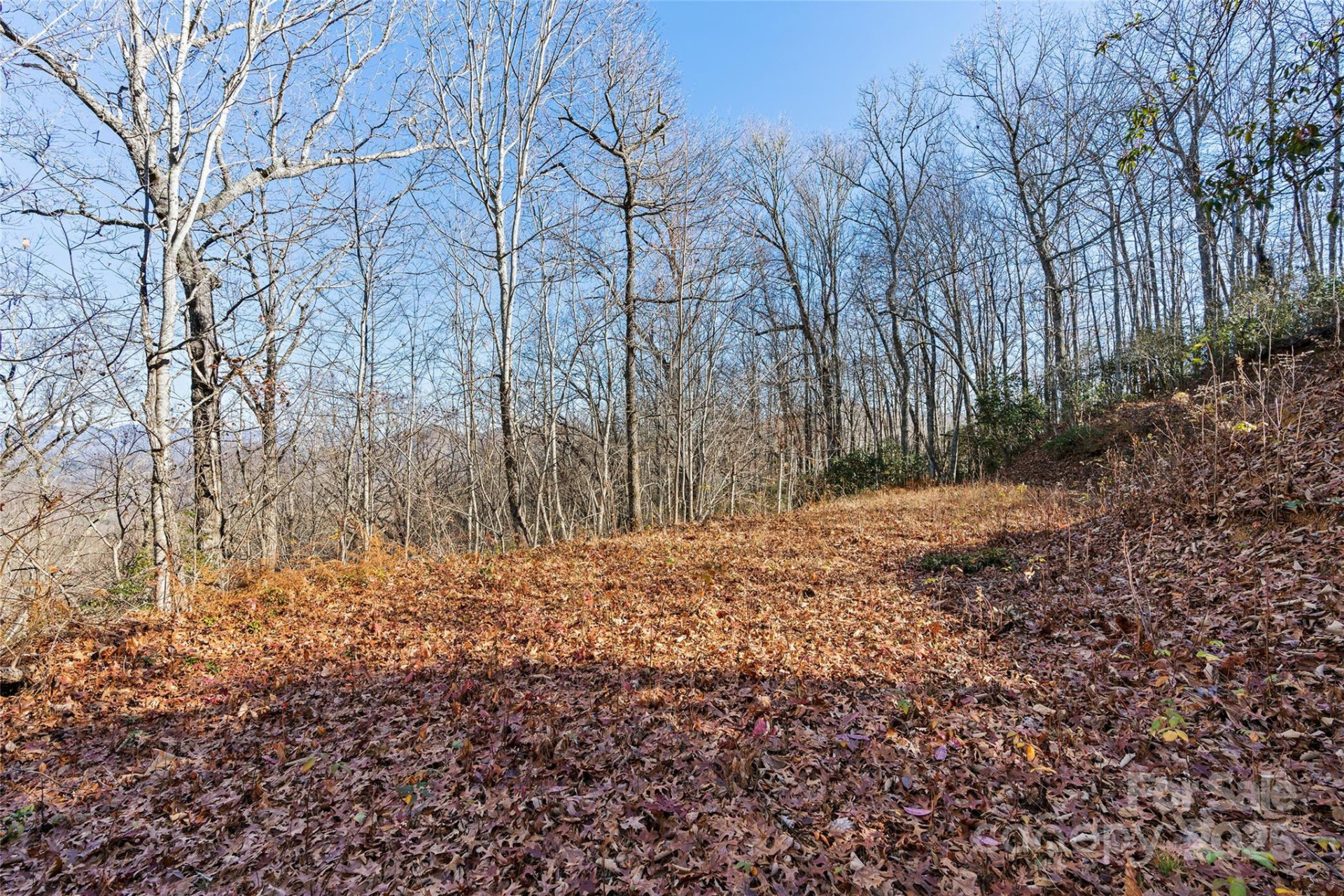 69 & 81 Winter Moon Ridge - Photo 11