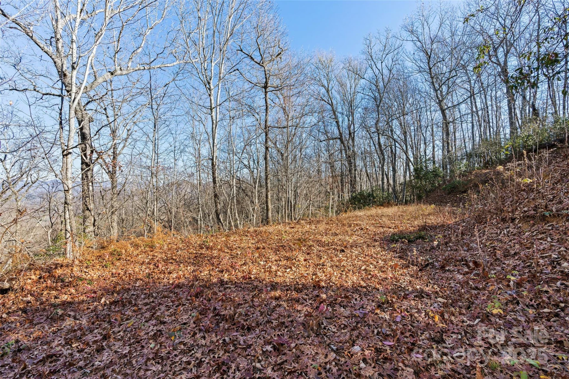 69 & 81 Winter Moon Ridge - Photo 11