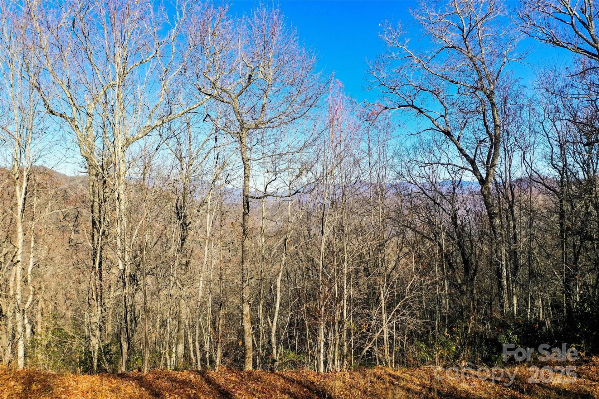 69 & 81 Winter Moon Ridge - Photo 12
