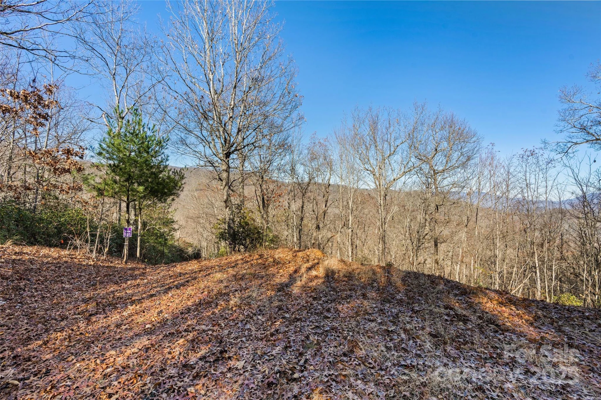 69 & 81 Winter Moon Ridge - Photo 13