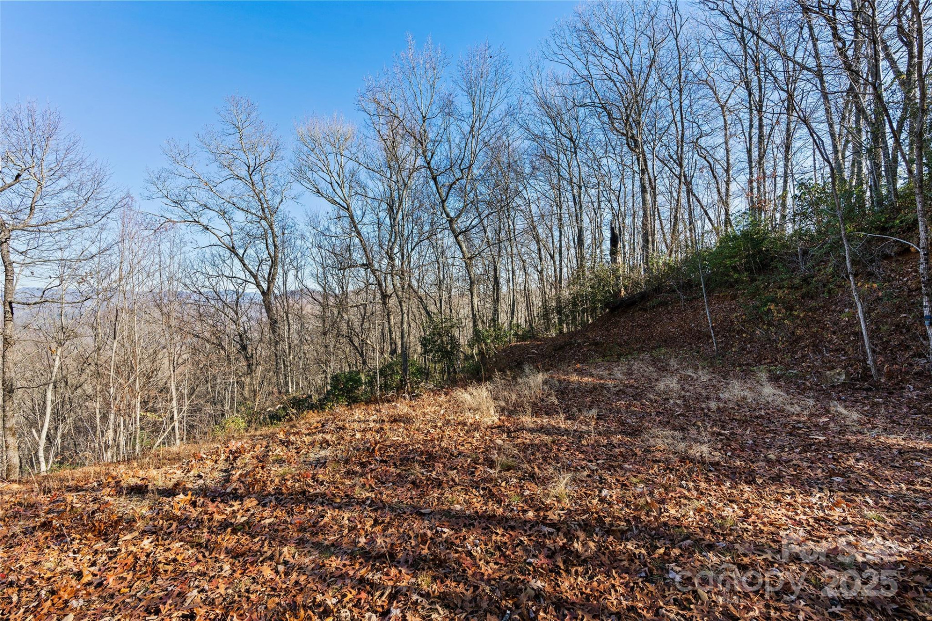 69 & 81 Winter Moon Ridge - Photo 14