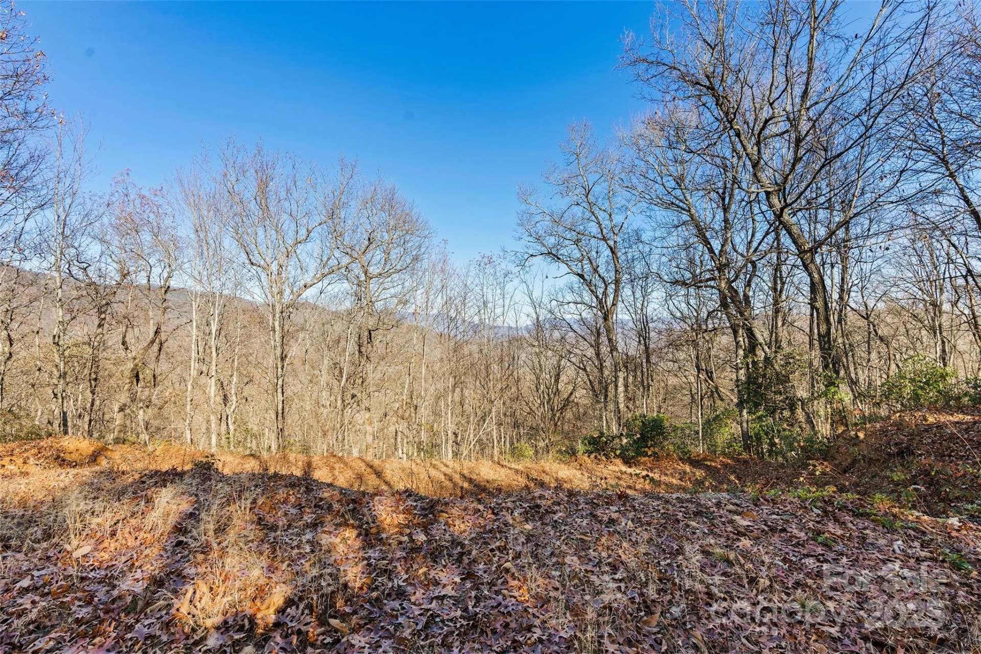 69 & 81 Winter Moon Ridge - Photo 15