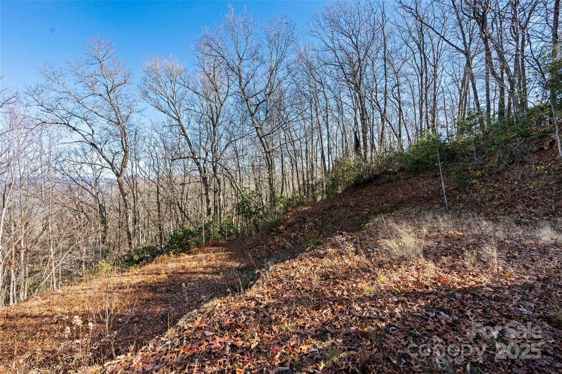 69 & 81 Winter Moon Ridge - Photo 16
