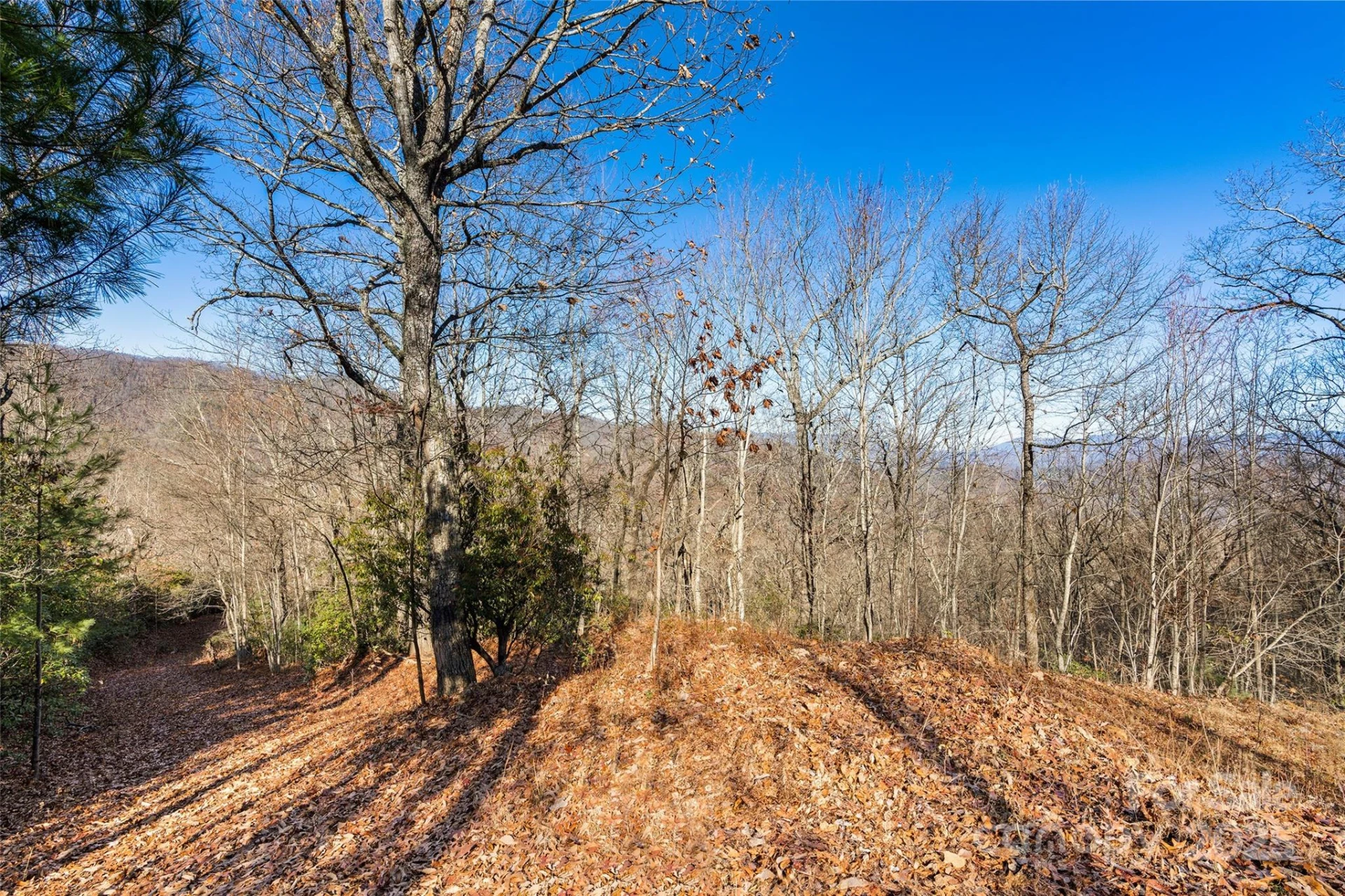 69 & 81 Winter Moon Ridge - Photo 17