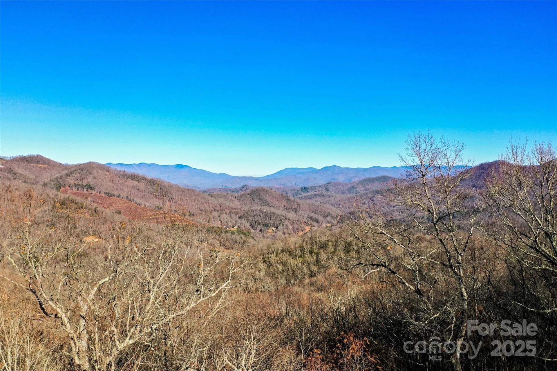69 & 81 Winter Moon Ridge - Photo 18