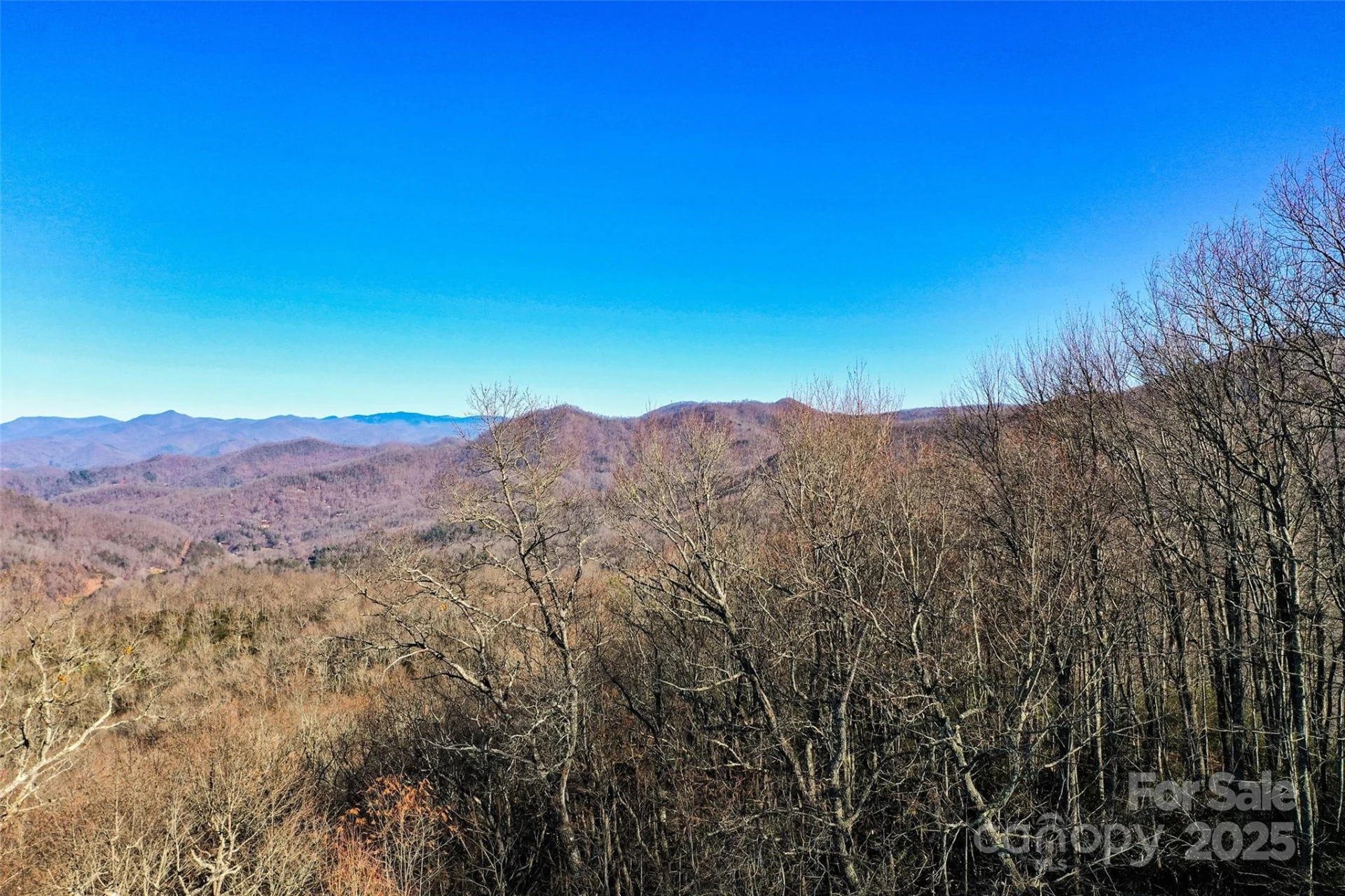 69 & 81 Winter Moon Ridge - Photo 19