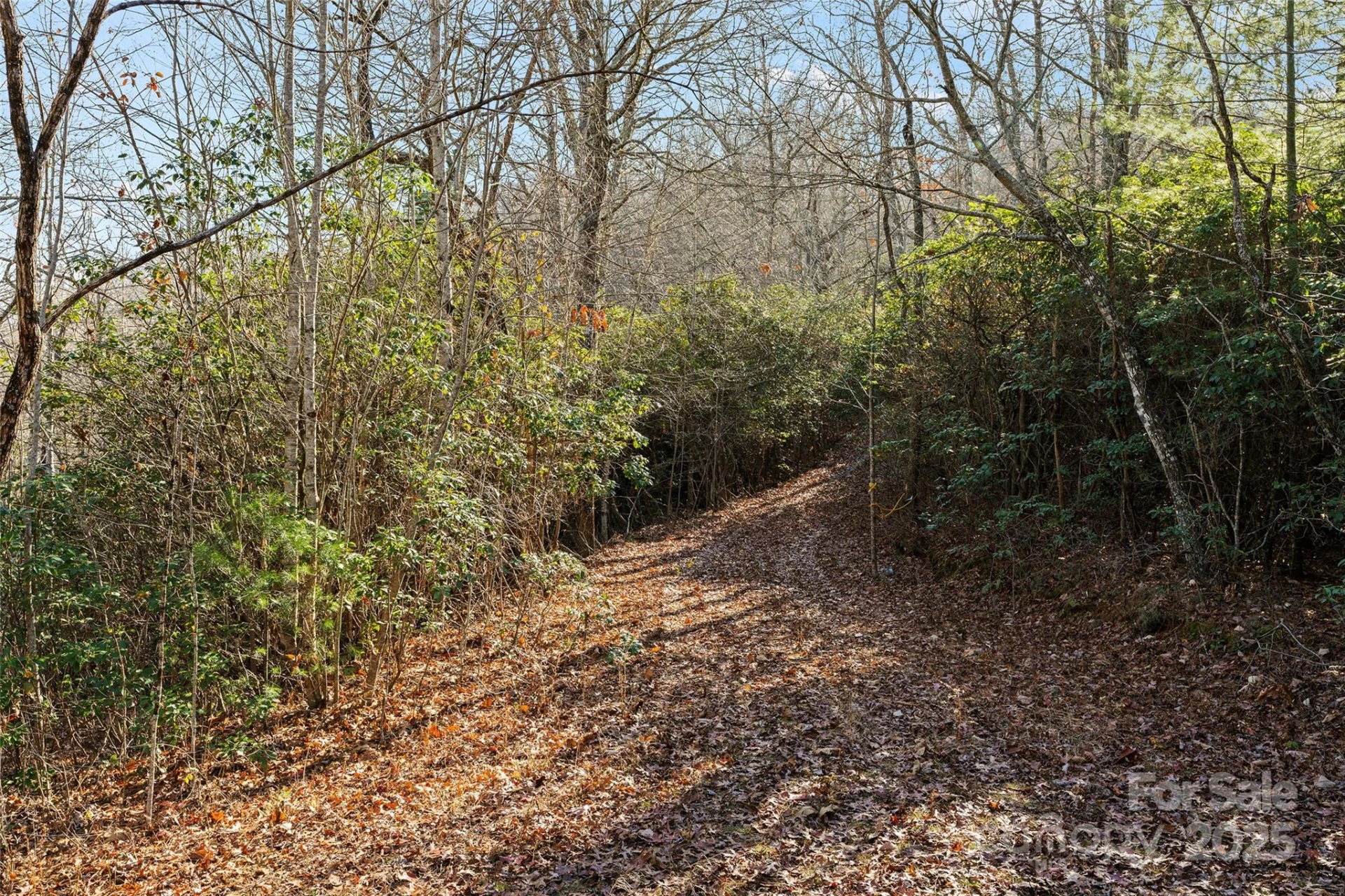 69 & 81 Winter Moon Ridge - Photo 3