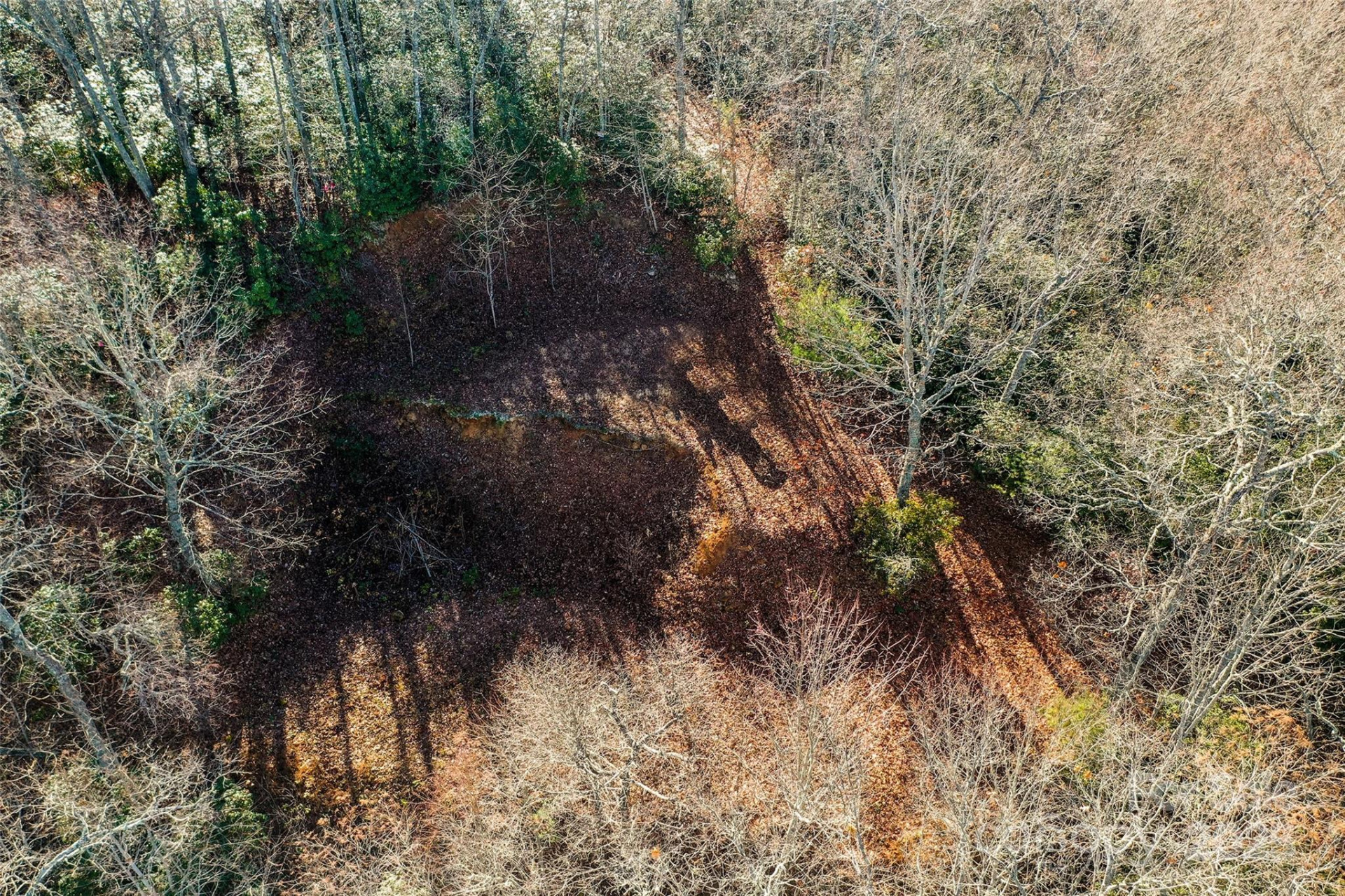 69 & 81 Winter Moon Ridge - Photo 21