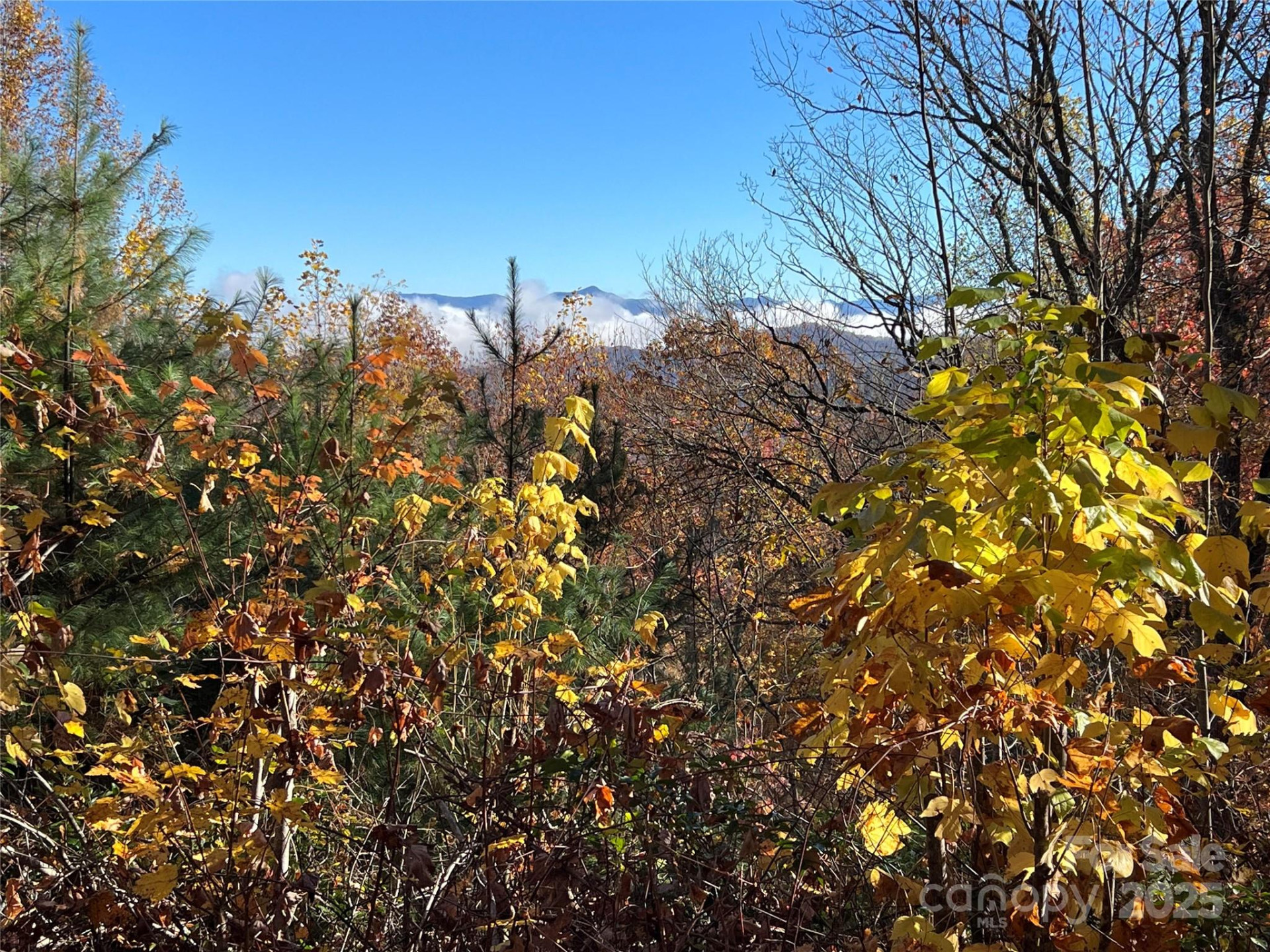 69 & 81 Winter Moon Ridge - Photo 24