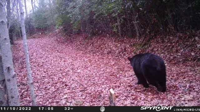 69 & 81 Winter Moon Ridge - Photo 25