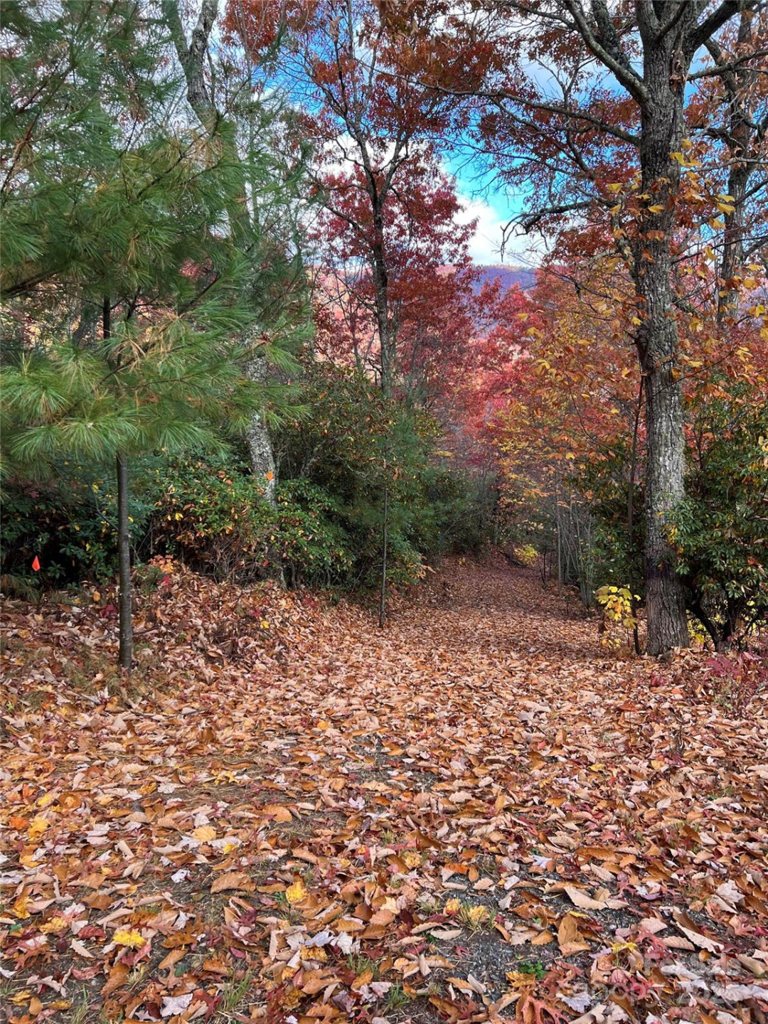 69 & 81 Winter Moon Ridge - Photo 26