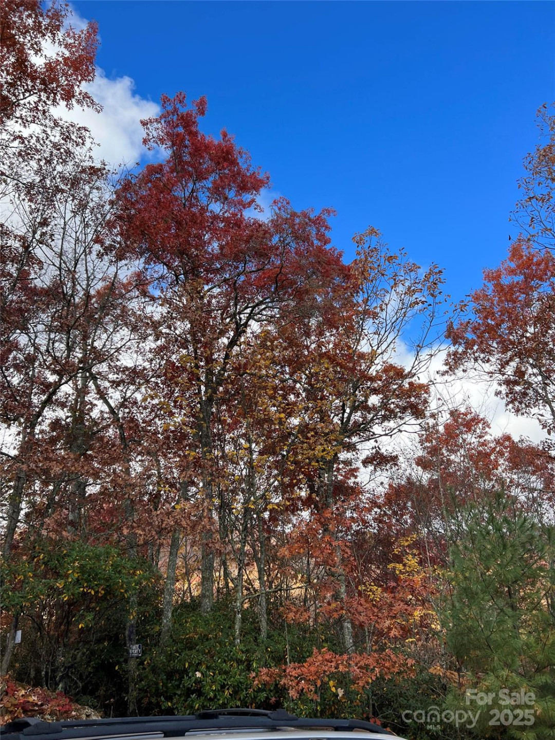 69 & 81 Winter Moon Ridge - Photo 27