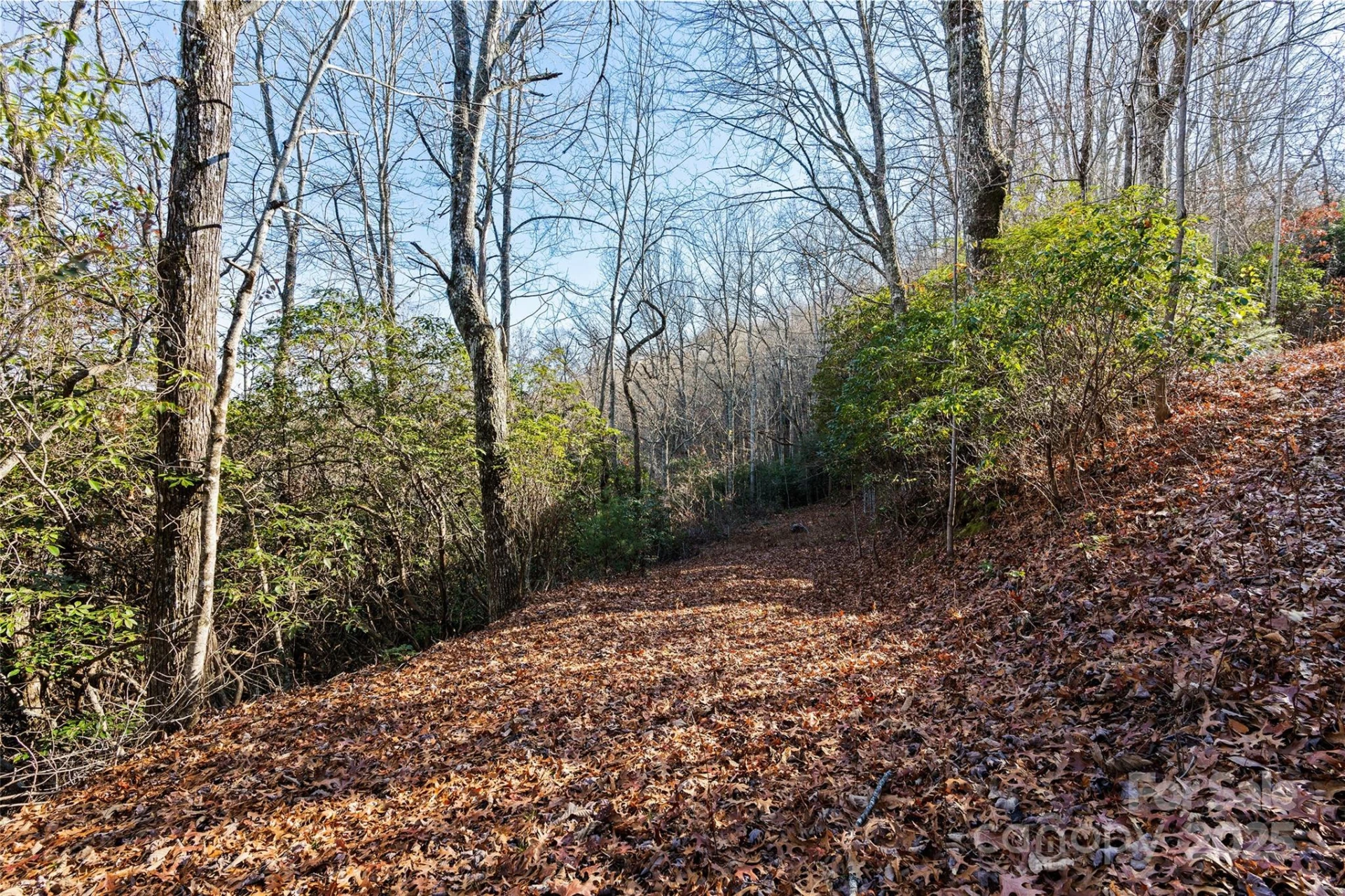 69 & 81 Winter Moon Ridge - Photo 4
