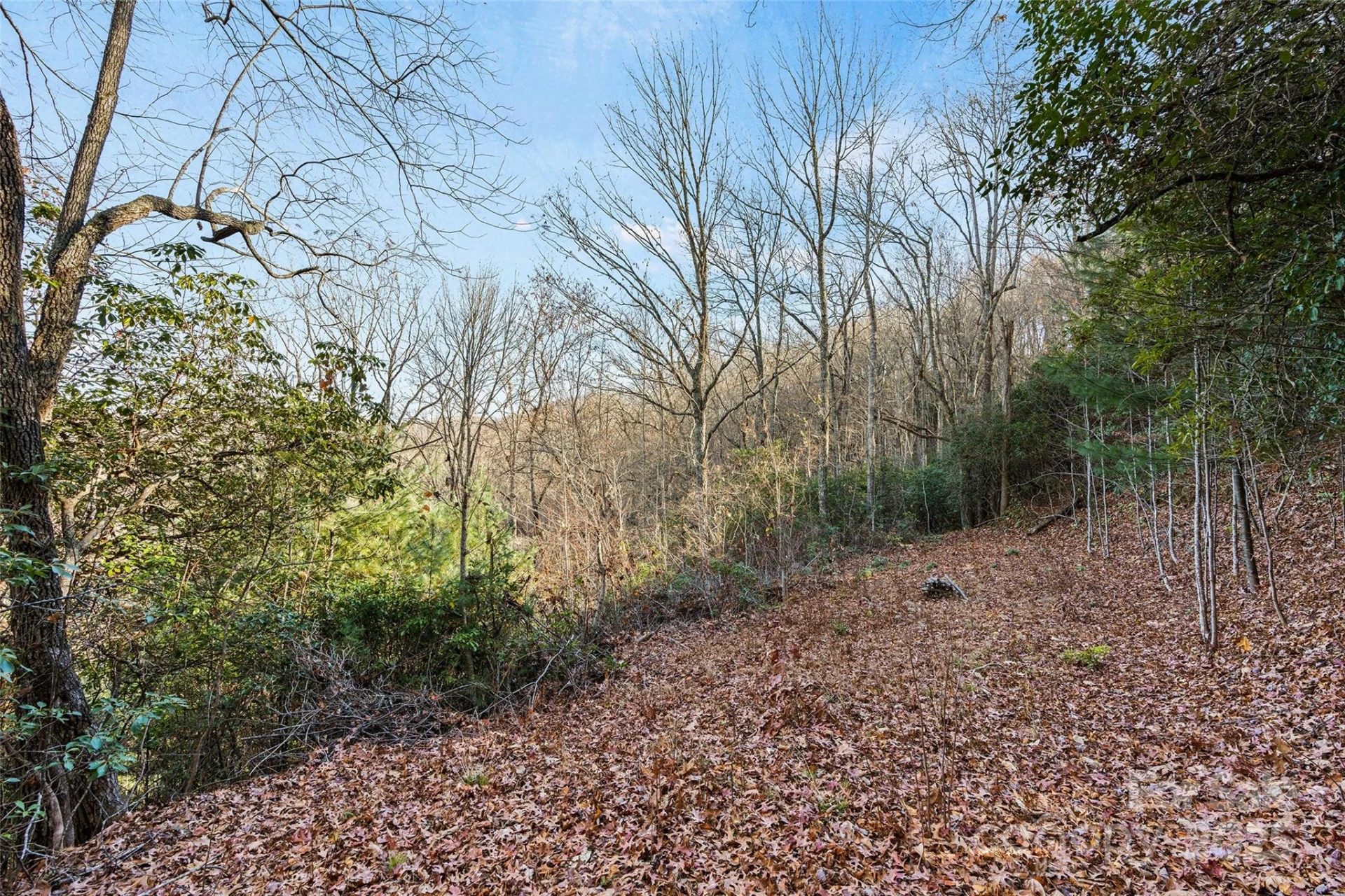 69 & 81 Winter Moon Ridge - Photo 5