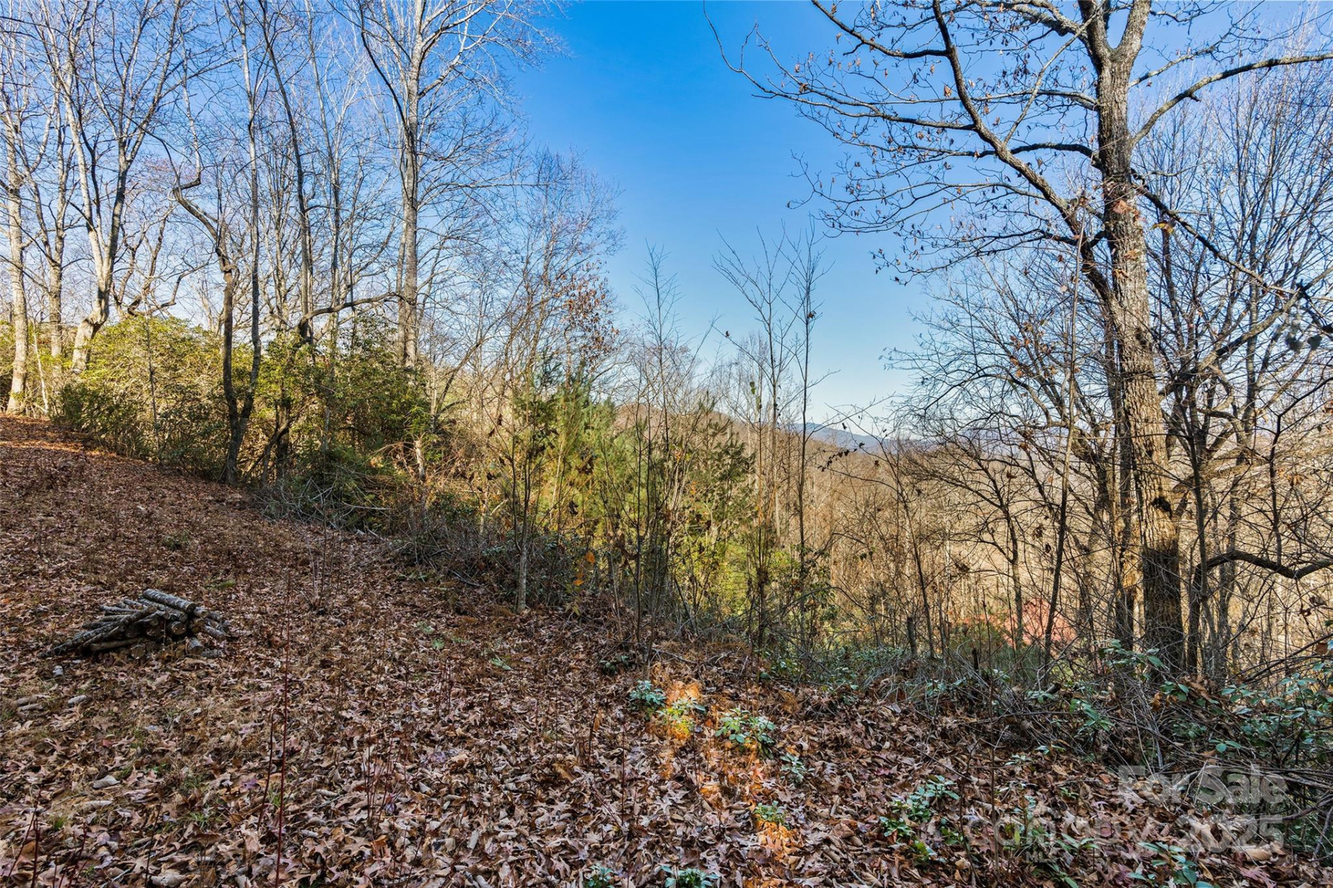 69 & 81 Winter Moon Ridge - Photo 6