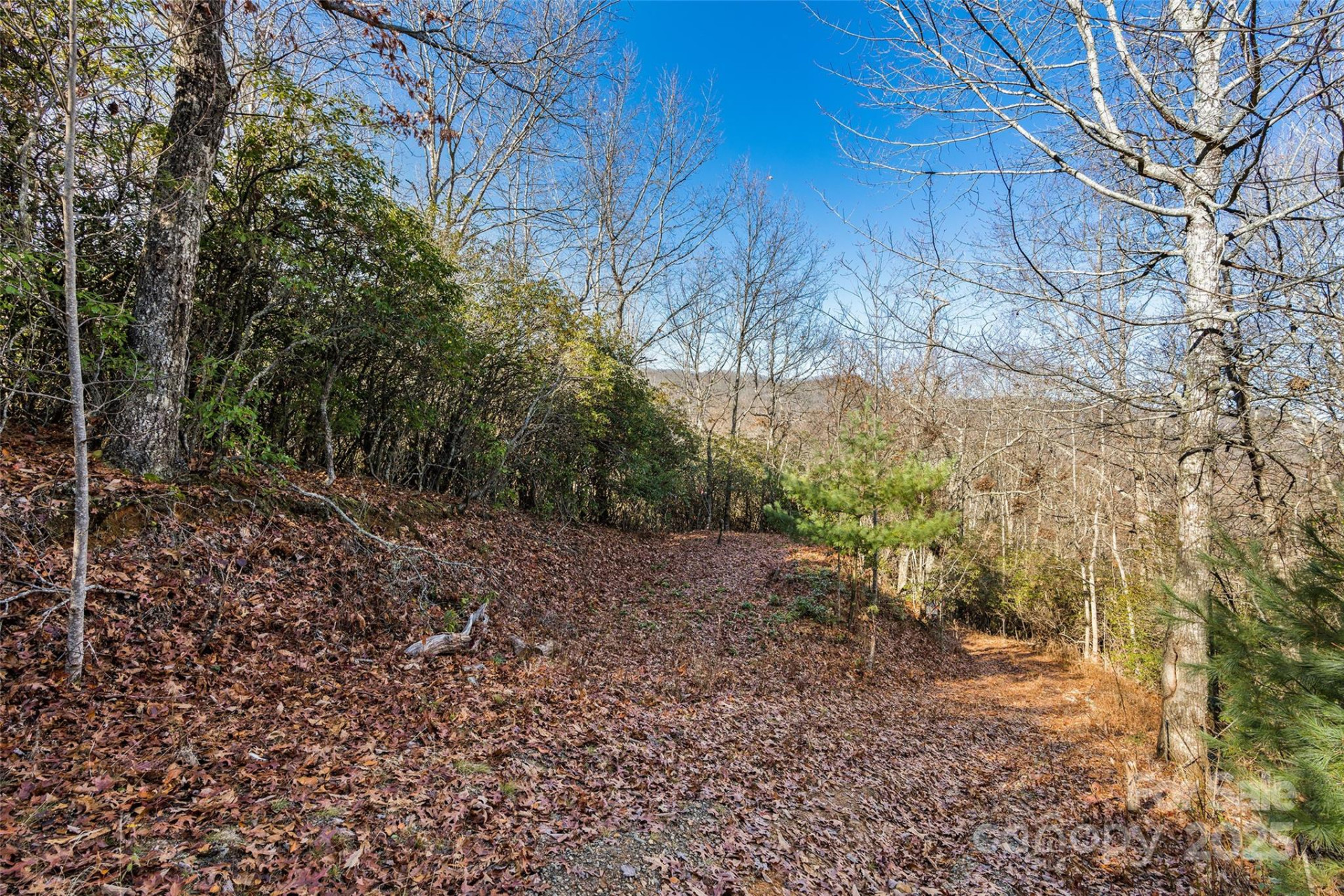 69 & 81 Winter Moon Ridge - Photo 7