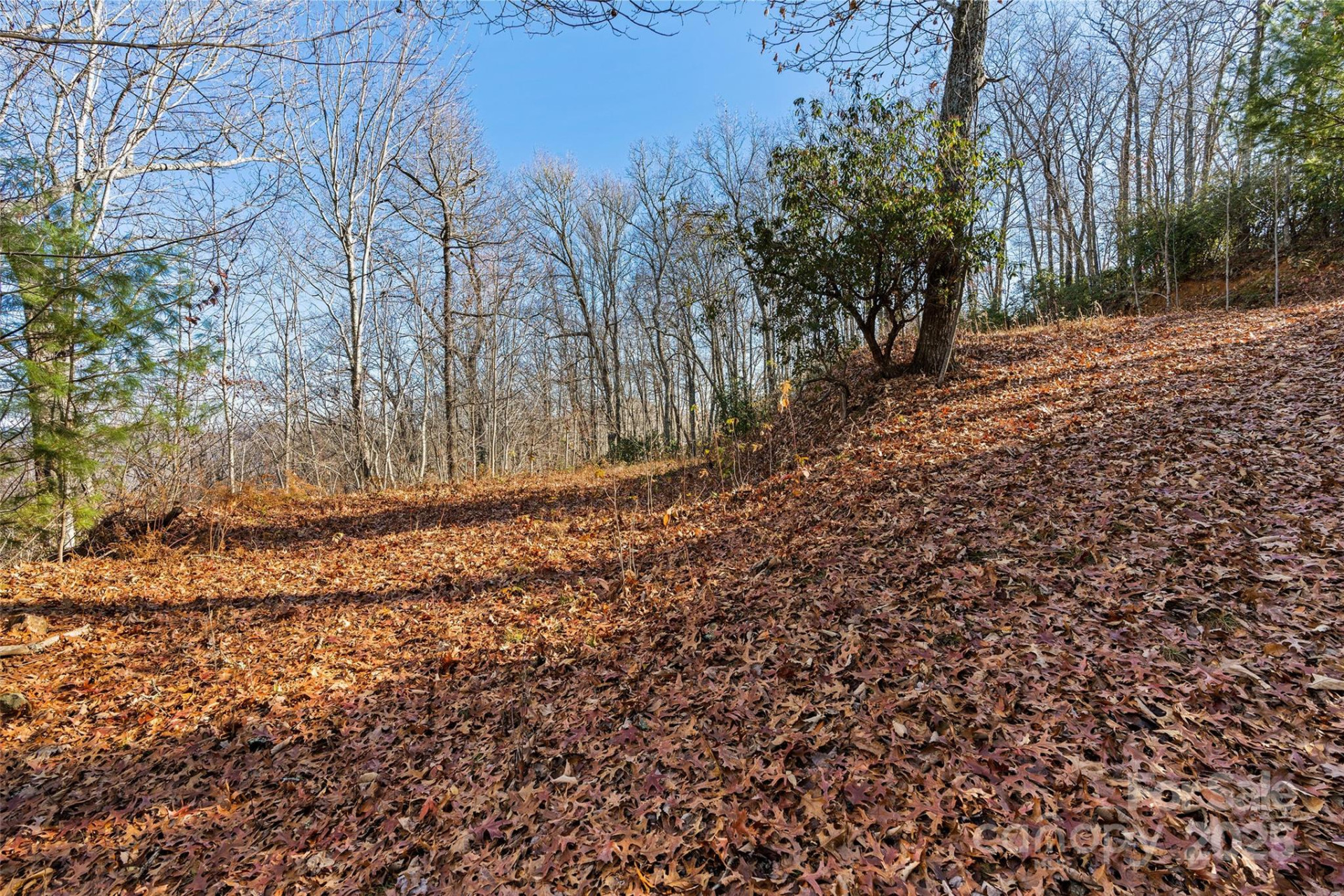 69 & 81 Winter Moon Ridge - Photo 8