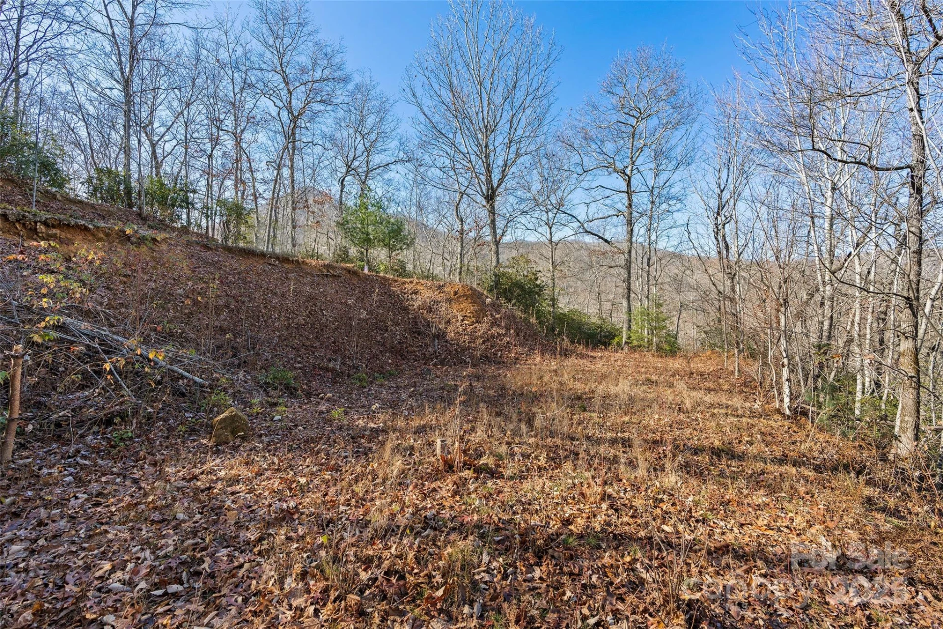69 & 81 Winter Moon Ridge - Photo 9