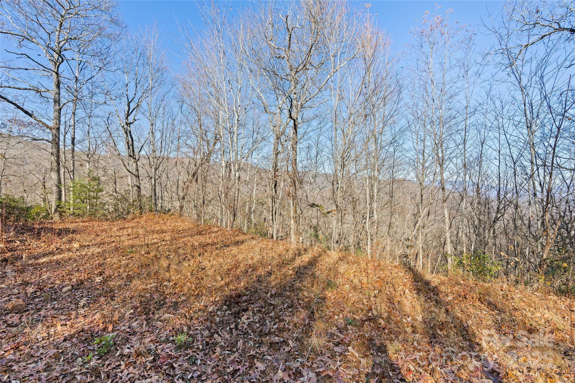 69 & 81 Winter Moon Ridge - Photo 10