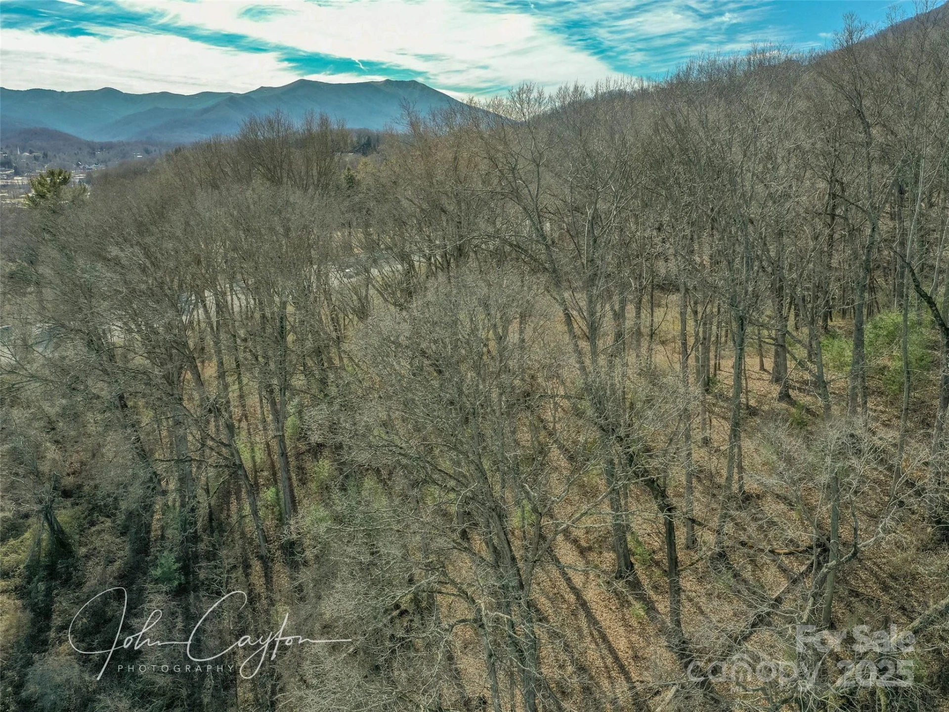000 Great Smoky Mountain Expressway - Photo 2