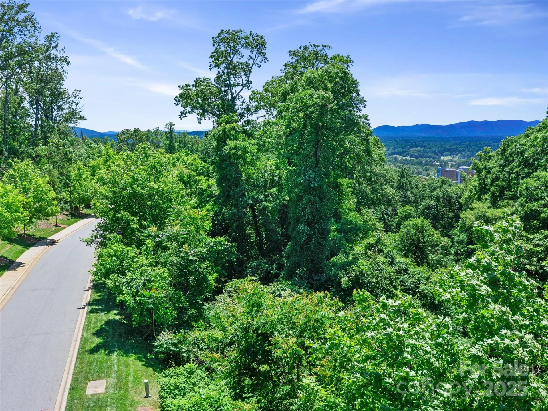 44 Samuel Ashe Drive - Photo 12