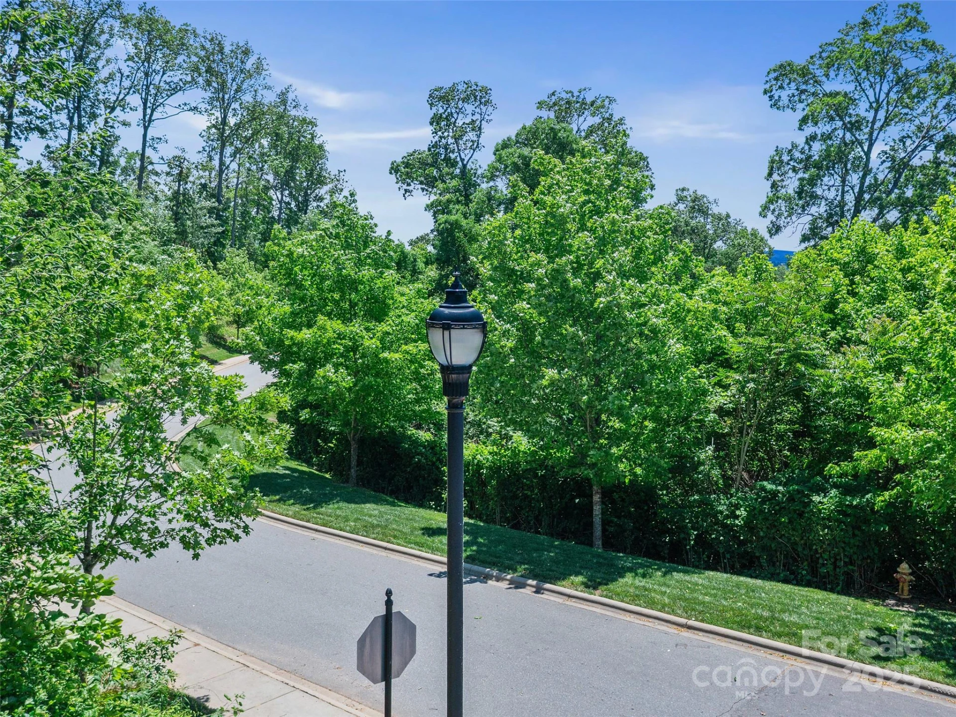 44 Samuel Ashe Drive - Photo 14