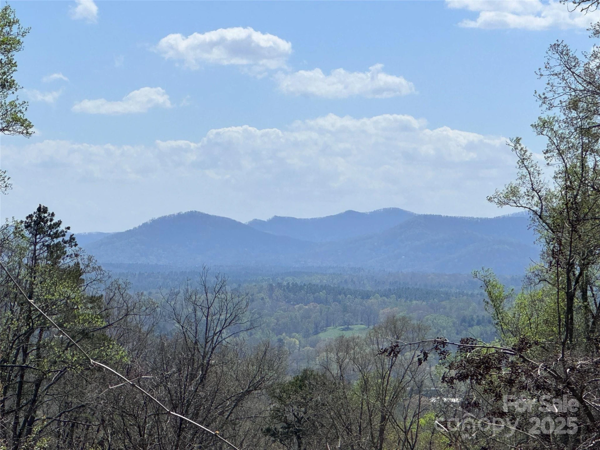 44 Samuel Ashe Drive - Photo 3