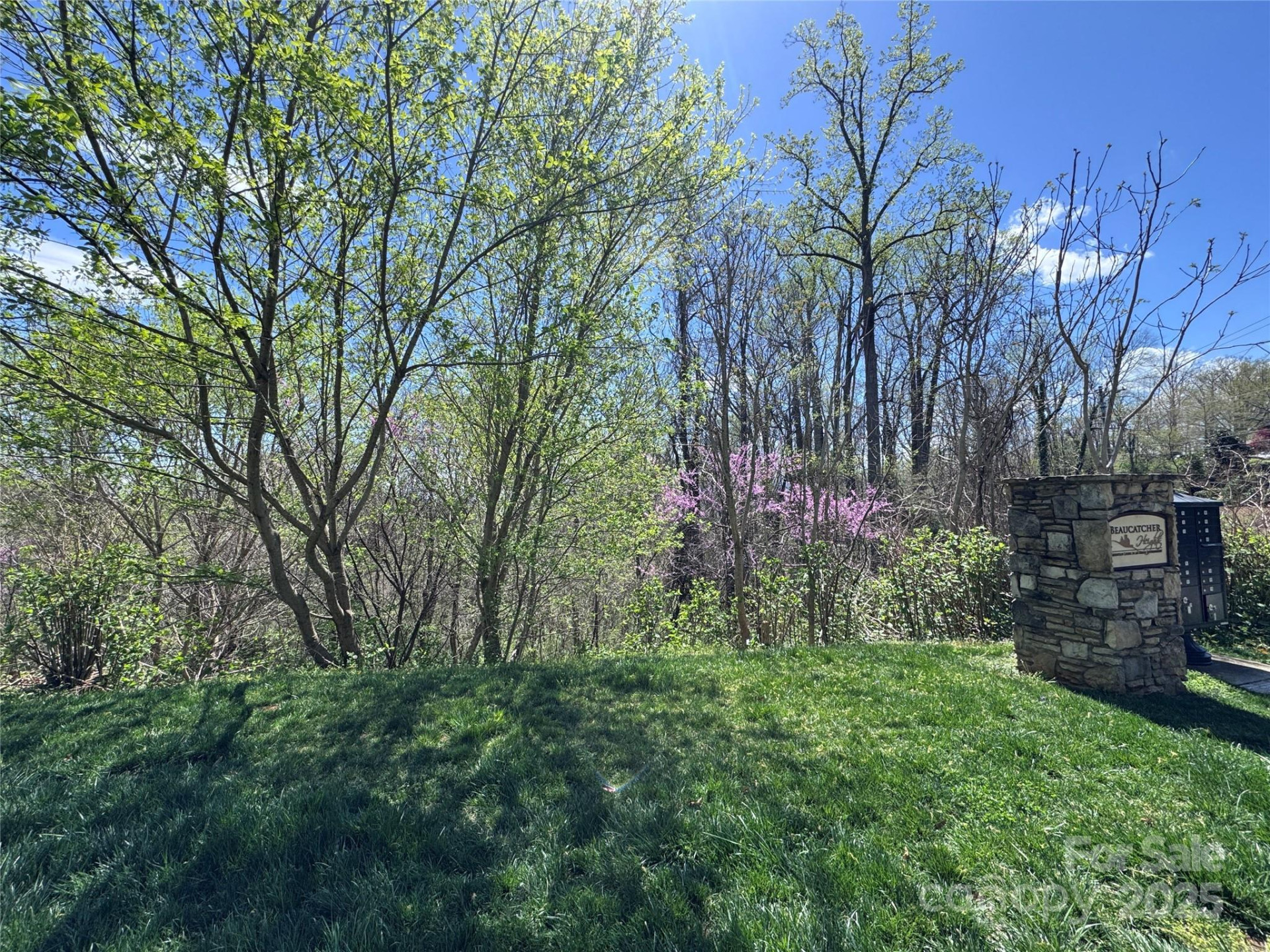 44 Samuel Ashe Drive - Photo 4