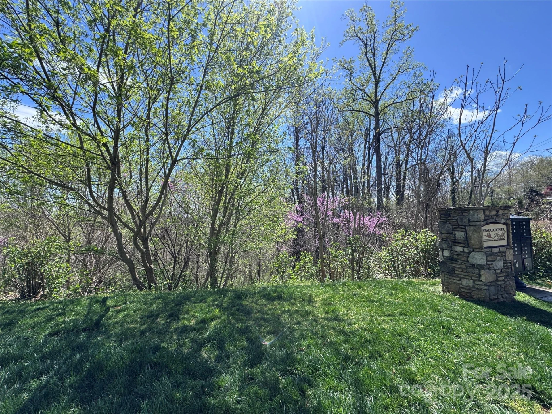 44 Samuel Ashe Drive - Photo 4