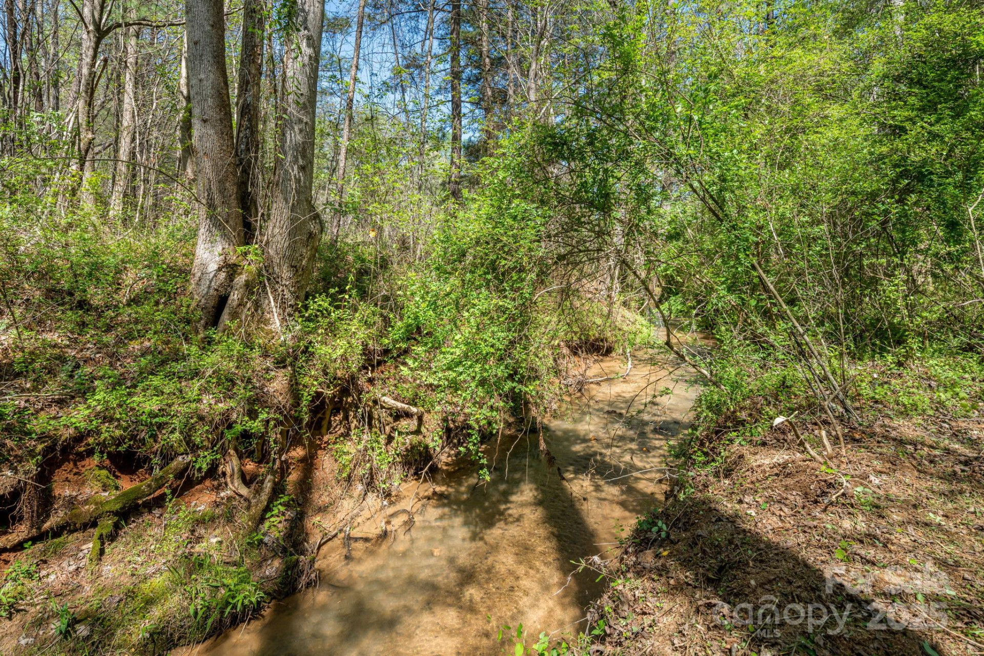 19 Sunset Drive #19 - Photo 11